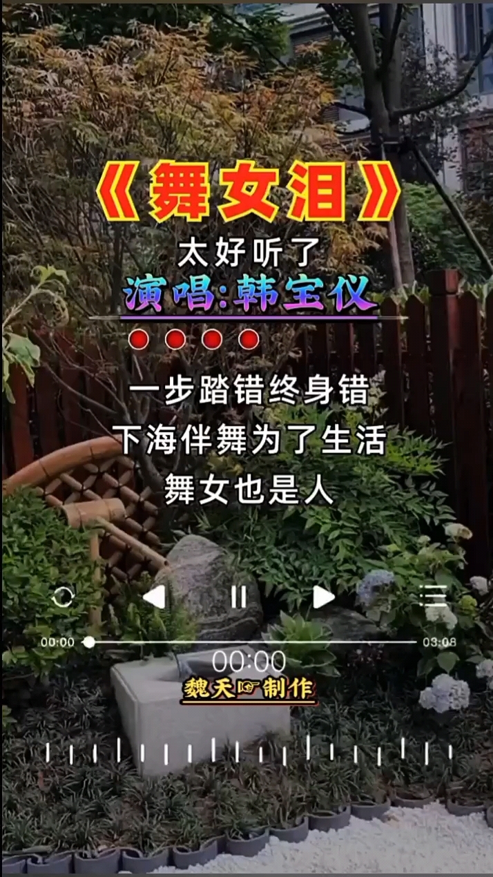 舞女泪歌曲原唱图片