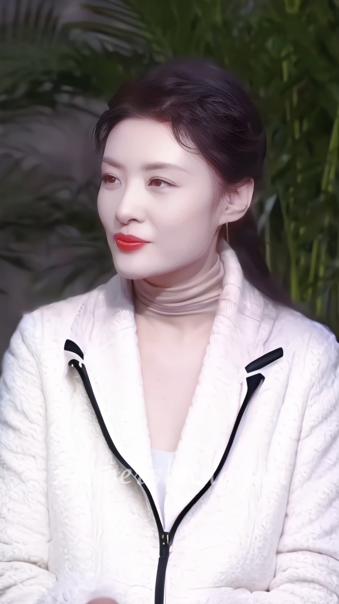 周涛美丽动人优雅大方