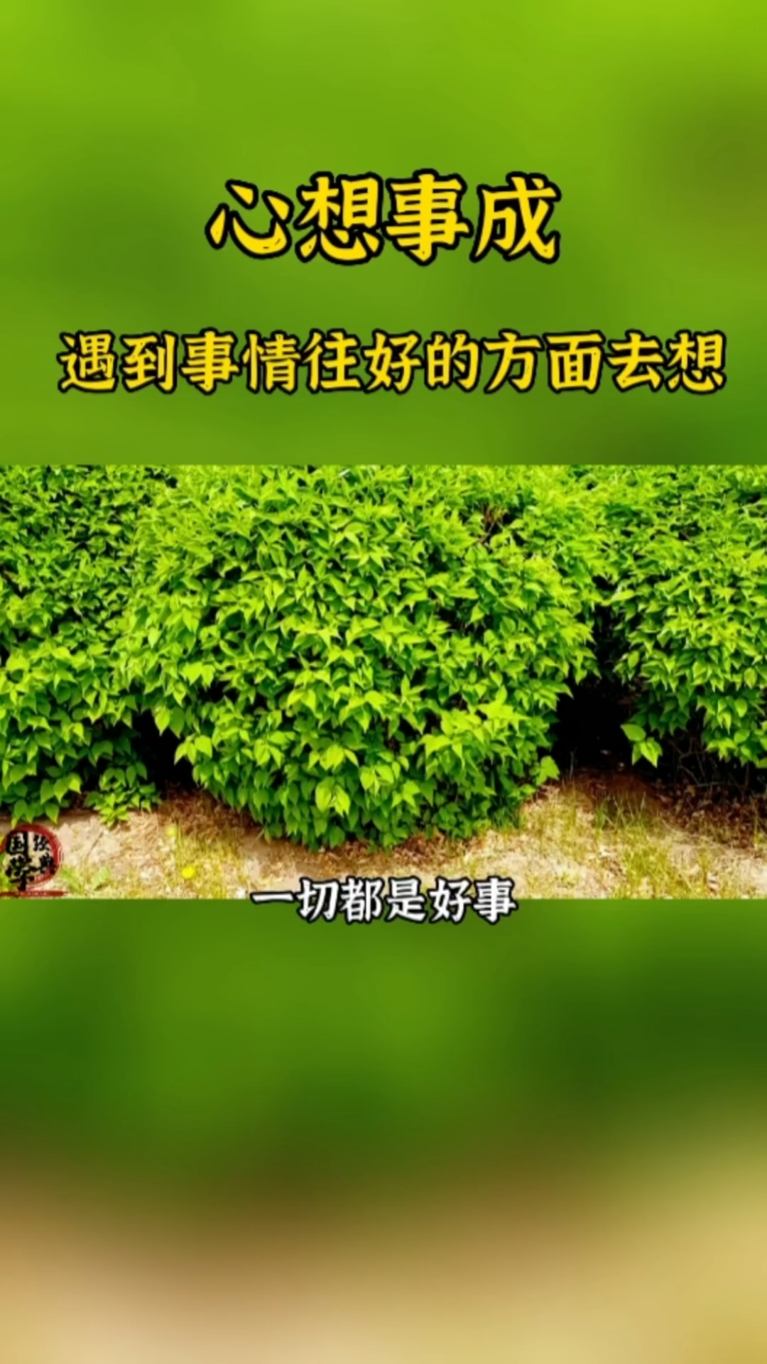 凡事多往好处想,一切都是好事情!