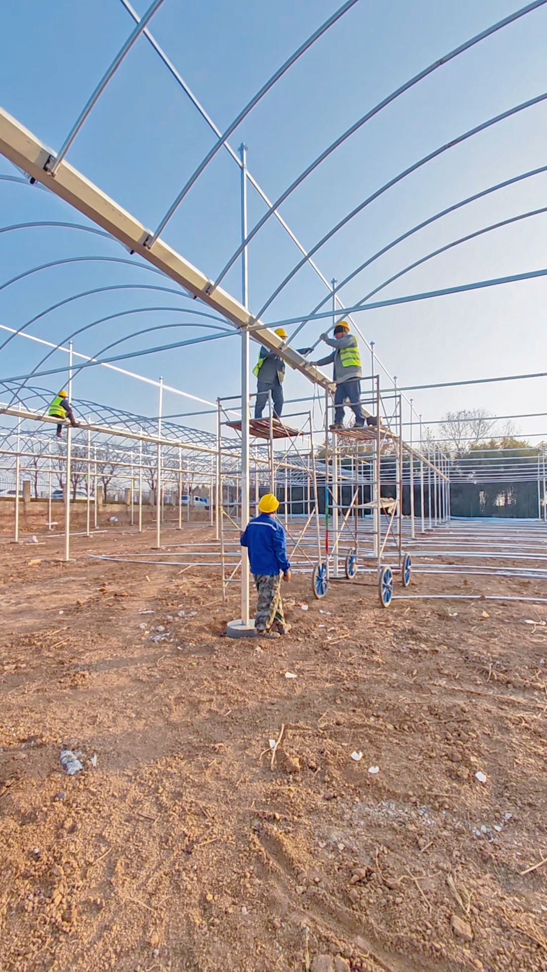 连栋大棚拱杆安装方法教学