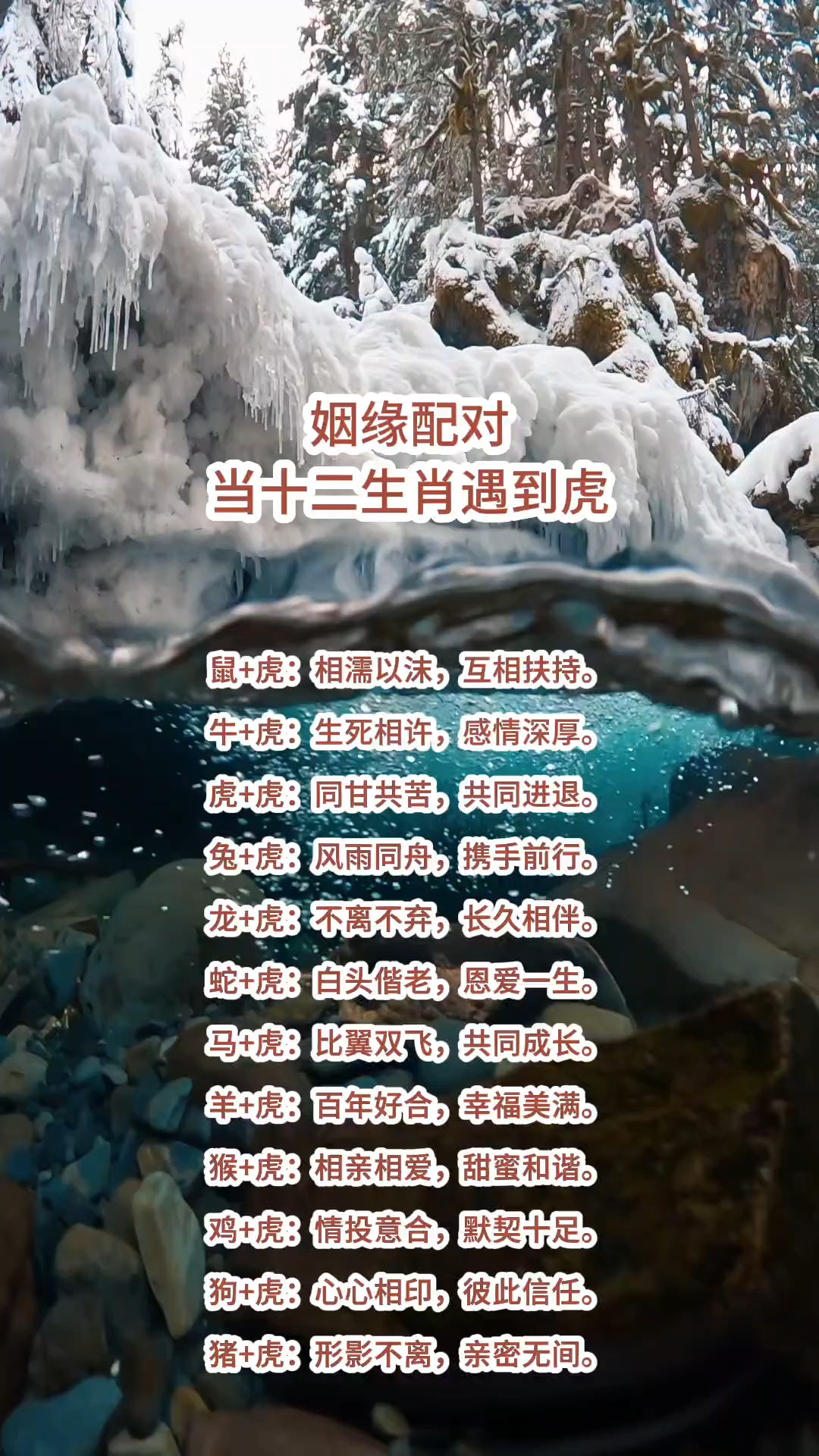 虎生肖遇到猪运势如何呢(虎遇猪年)
