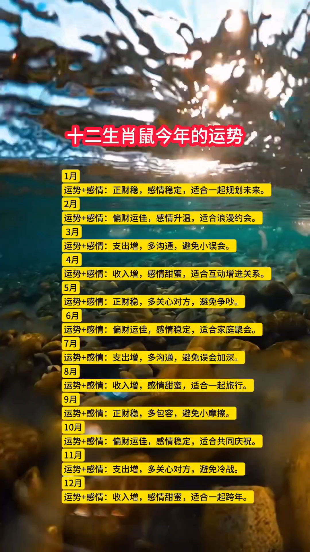 生肖鼠2024年运势大全(属鼠人2024年全年运势详解)
