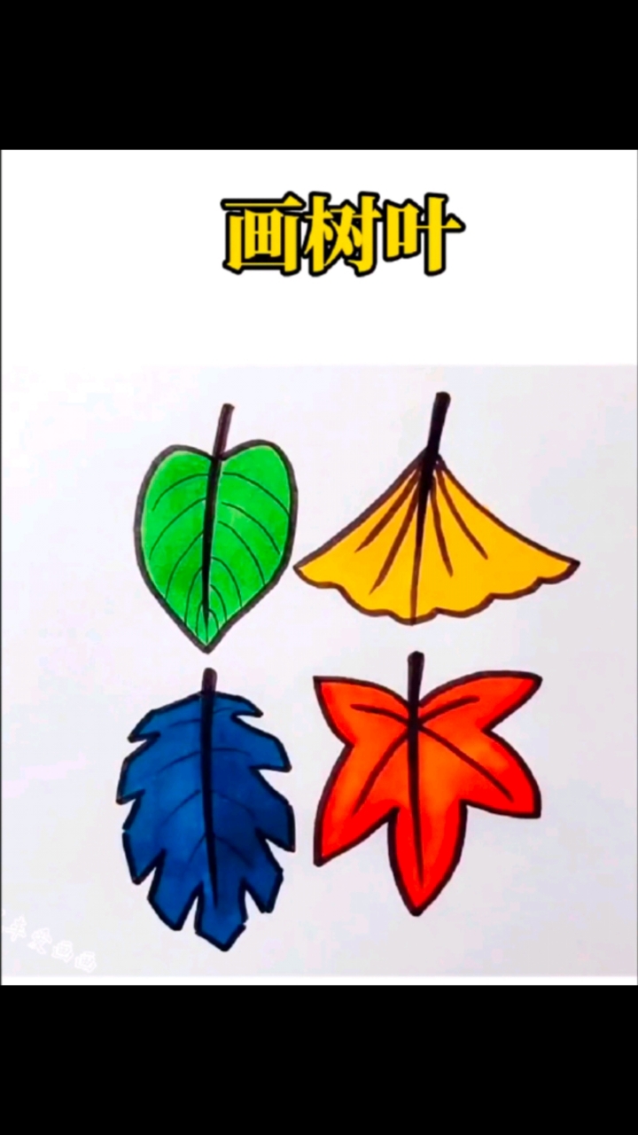 简笔画 漂亮又好看的树叶简笔画来了,你们都知道是什么树叶吗