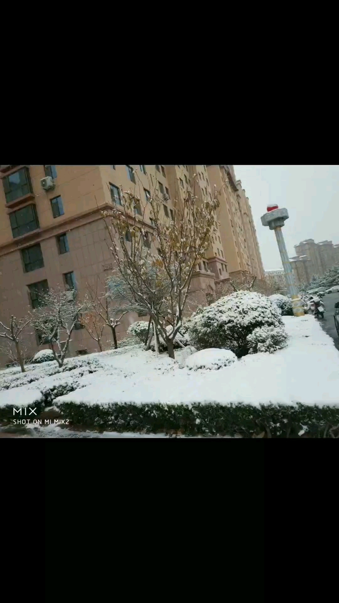 威海大雪图片2021图片