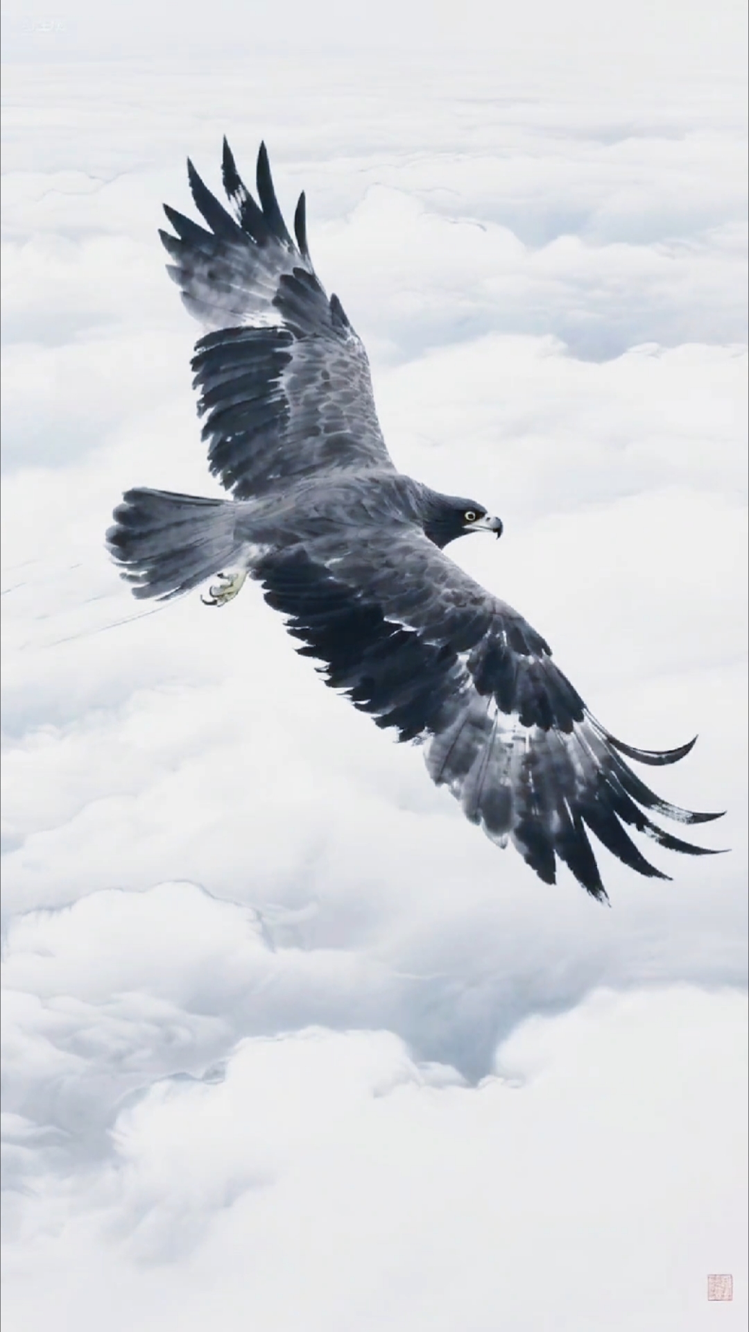 水墨世界中的大鹏展翅