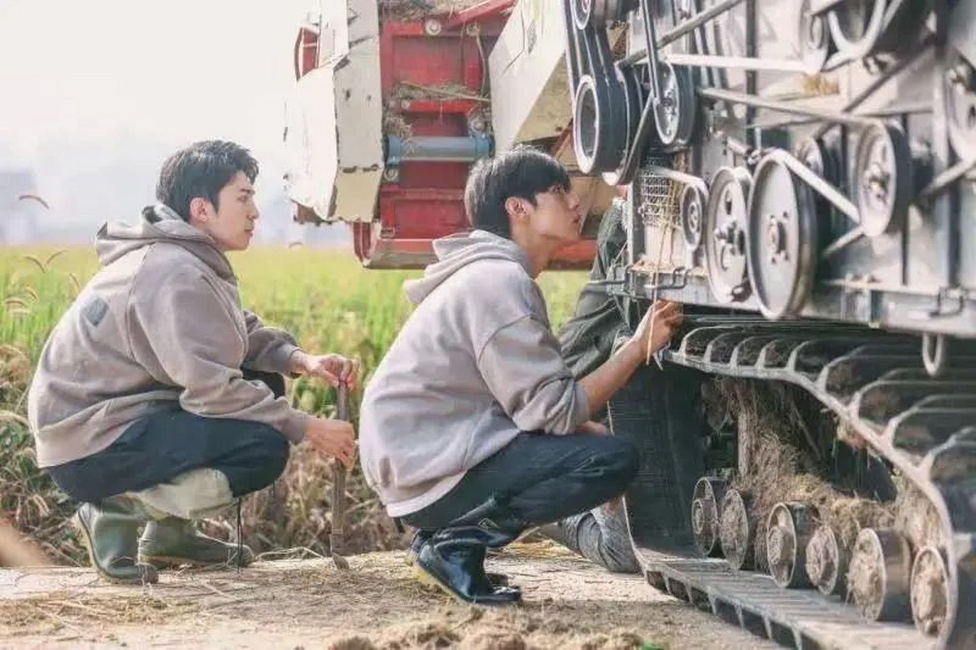 一群娱乐圈小透明,半年种了142亩地,种着种着,吸引来3.