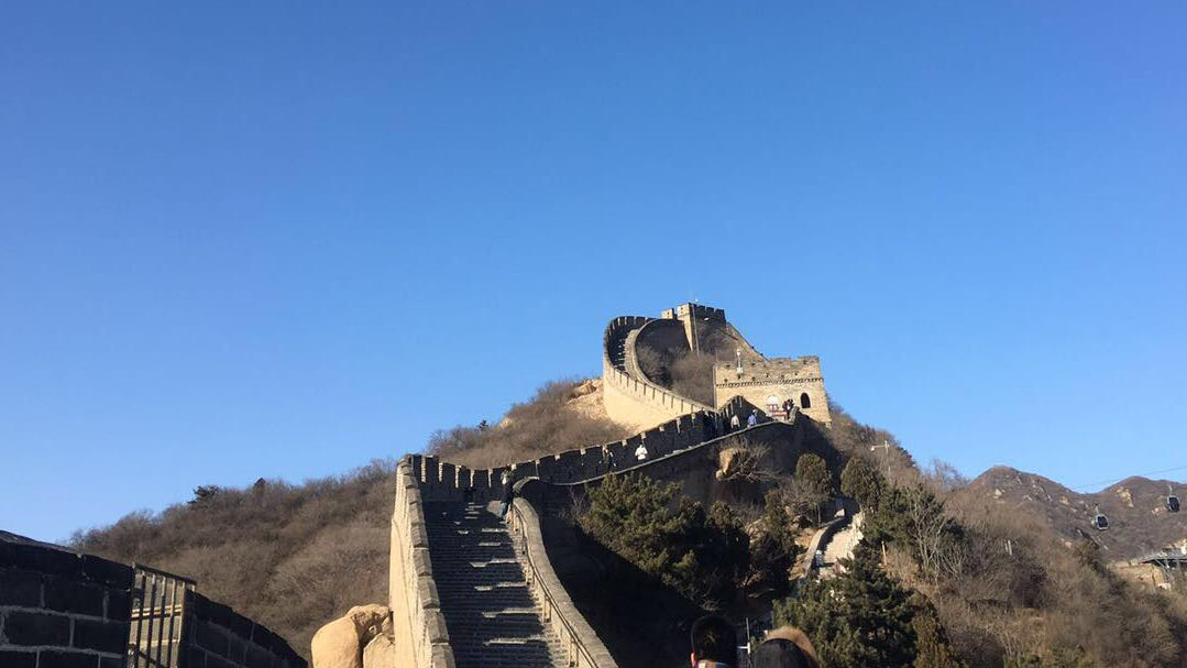 什么是期权,期权的基本原理是什么?