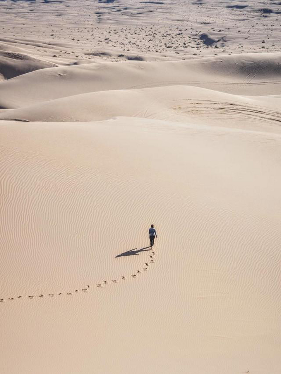 一个人行走在沙漠图片图片