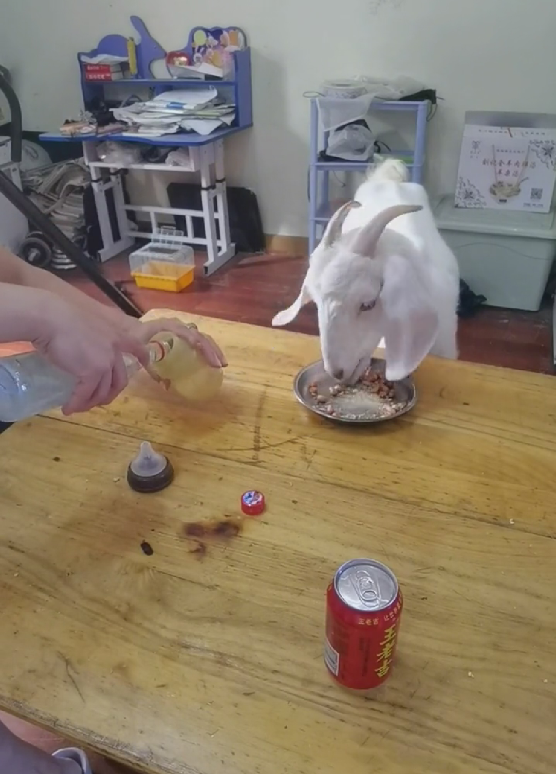 盘点那些令人发笑的图片:我都在开导你了,希望你不要恩将仇报!