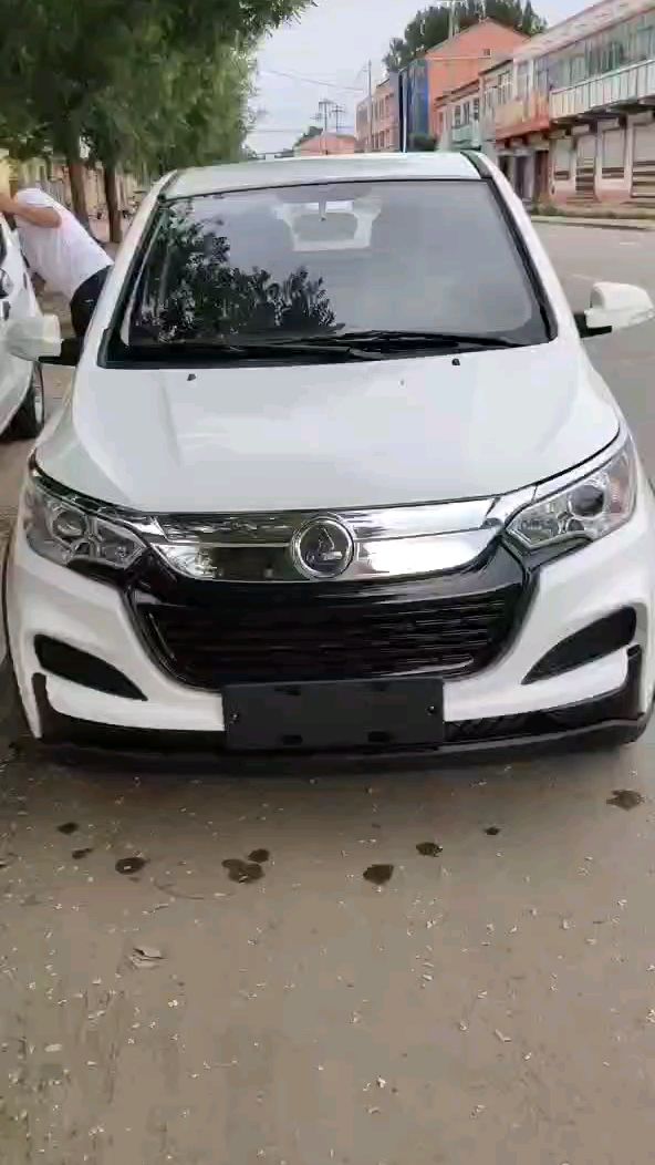 鸿日s1pro油电两用