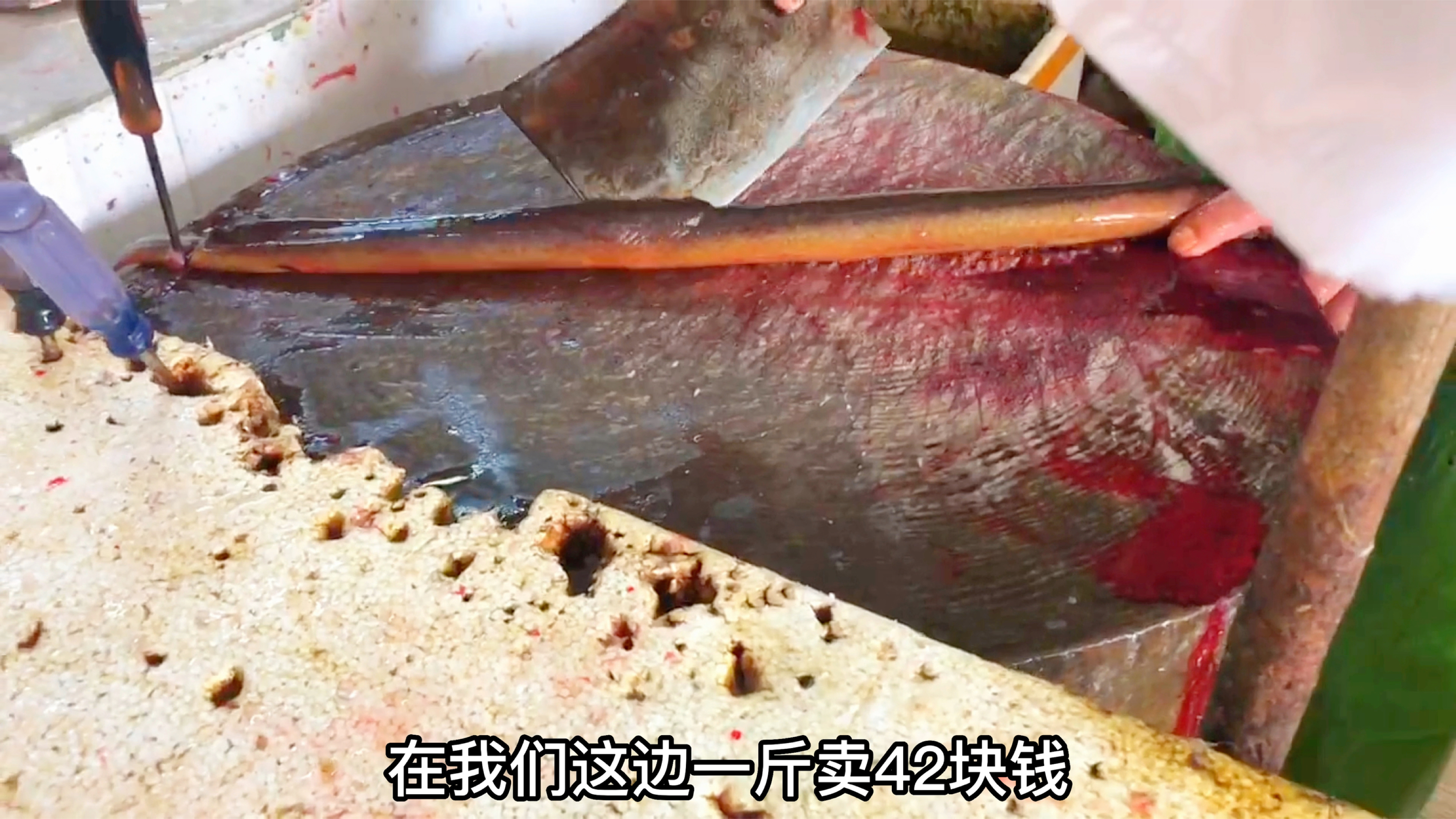 黄鳝最好吃就是鱼血,大厨分享广式砂锅焗鳝片,营养又美味