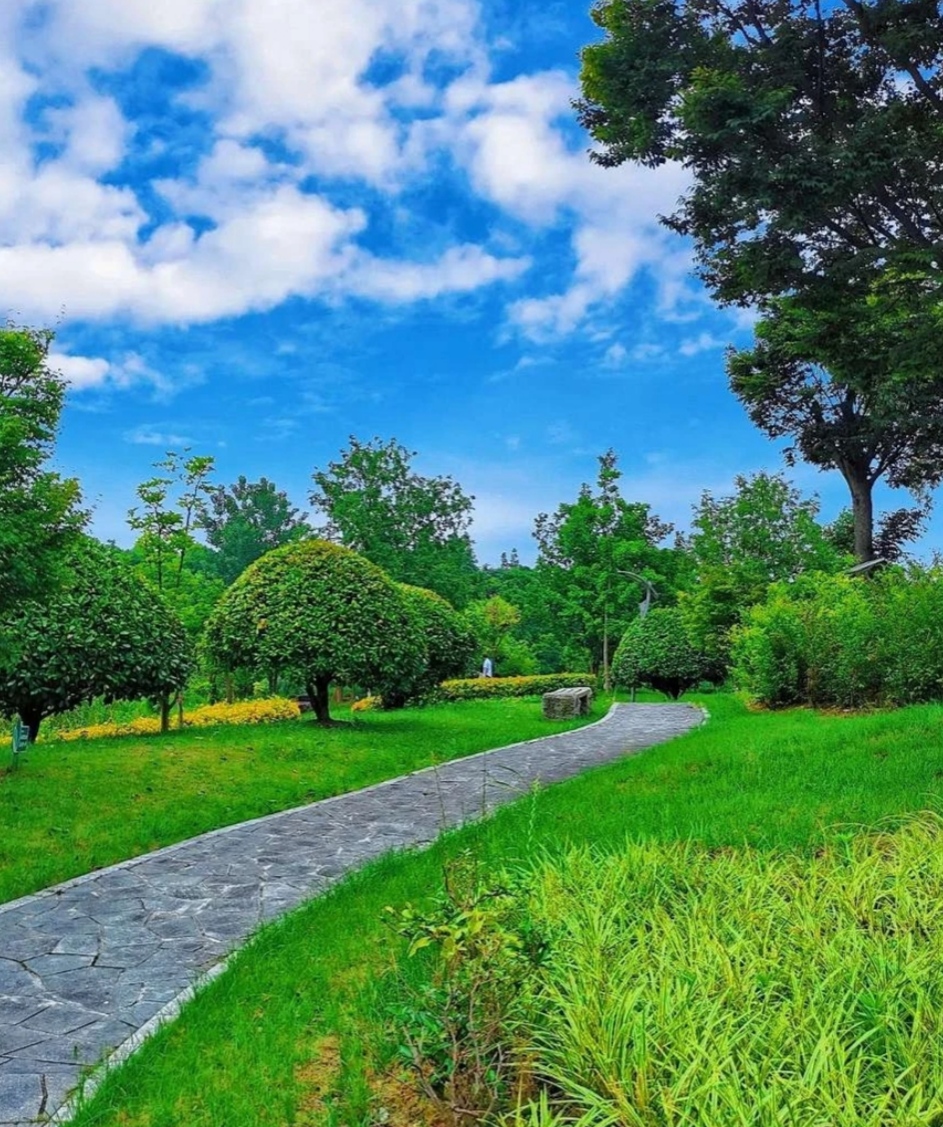 上海闵行文化公园,历史与现代的休闲旅游胜地