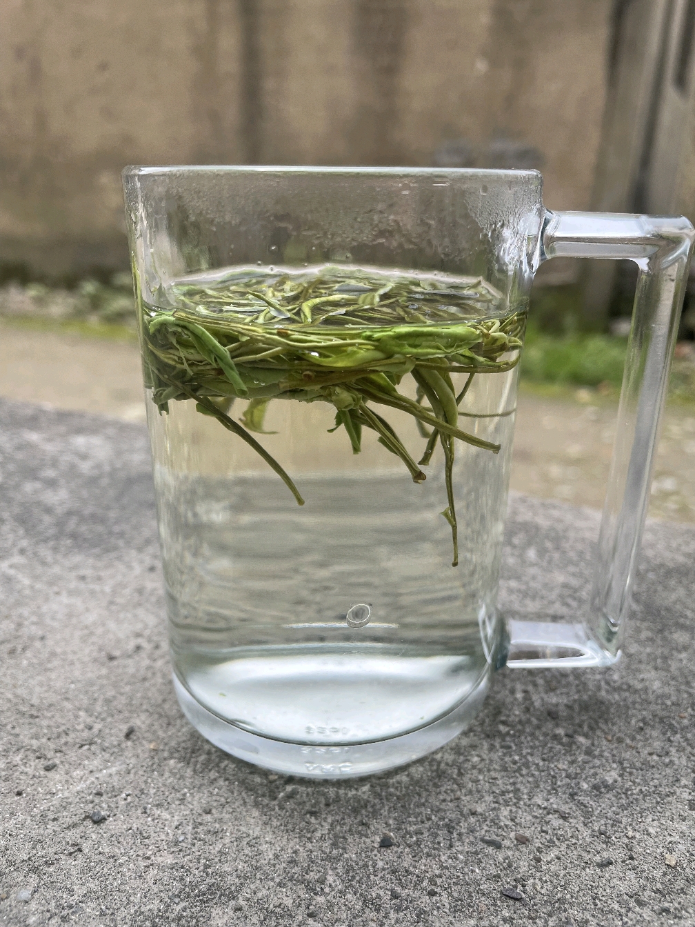 雨前口粮高山白茶