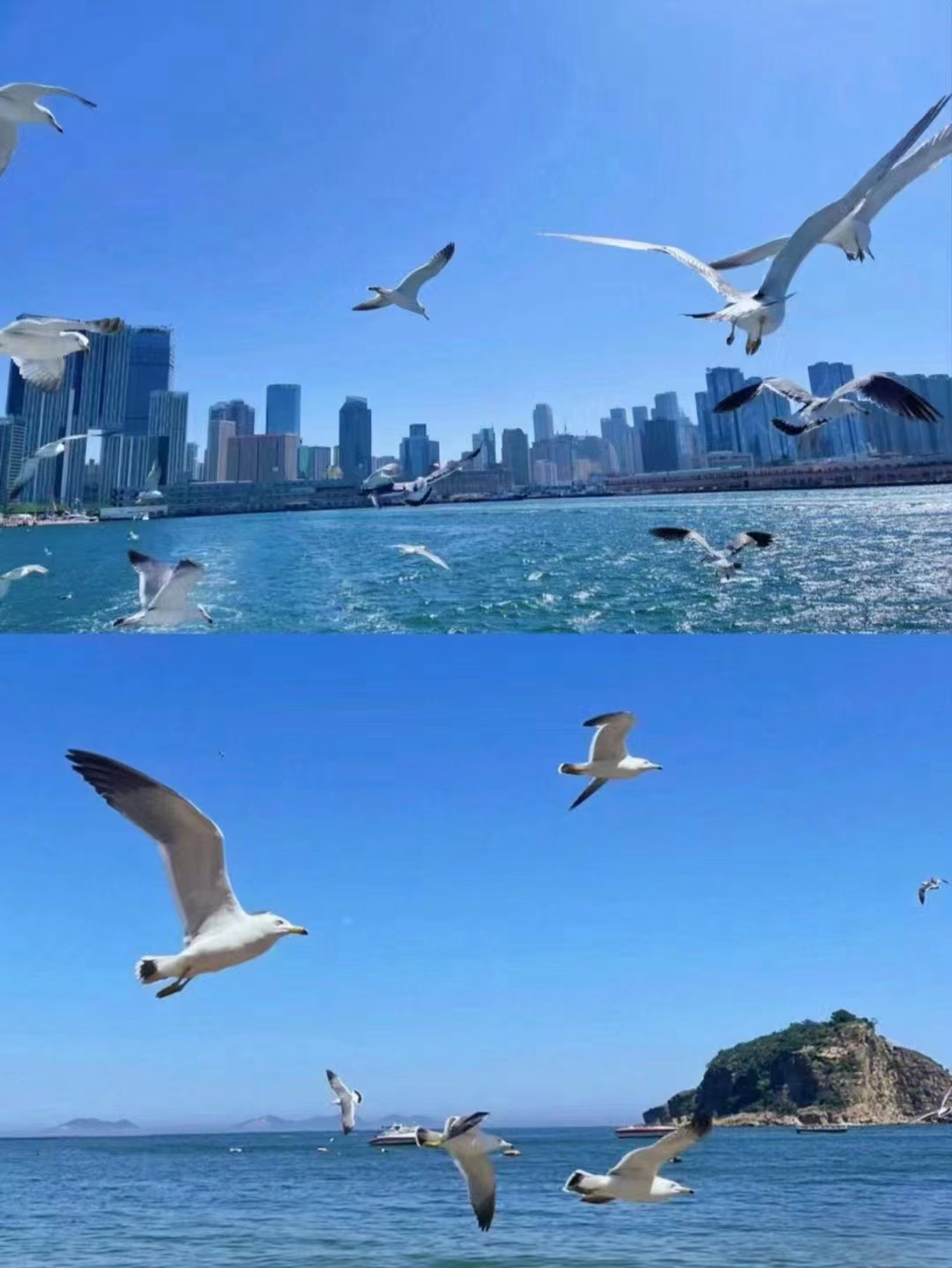 全景深度双飞16日