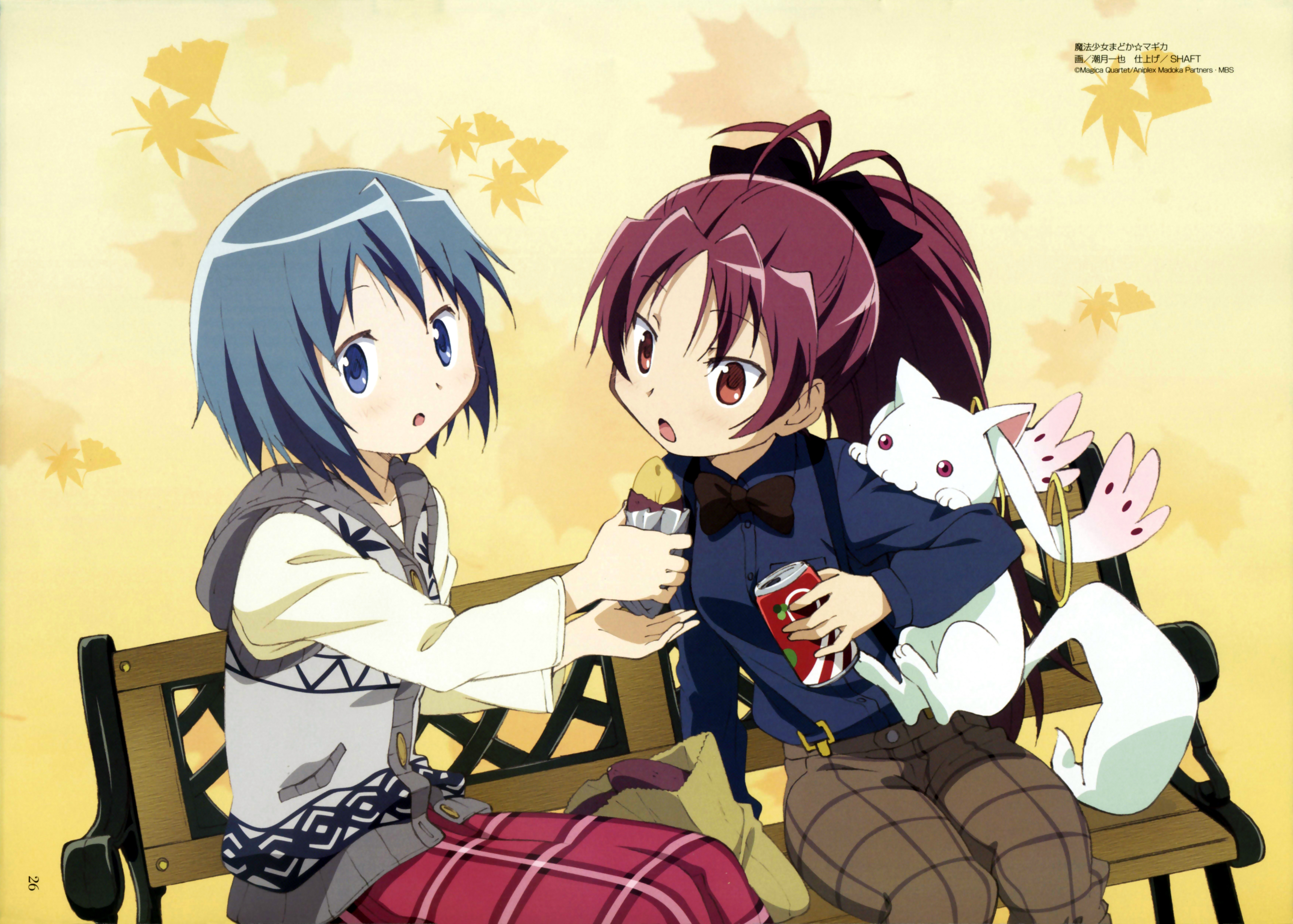 Mahou.Shoujo.MadokaMagica.full.1164520.jpg