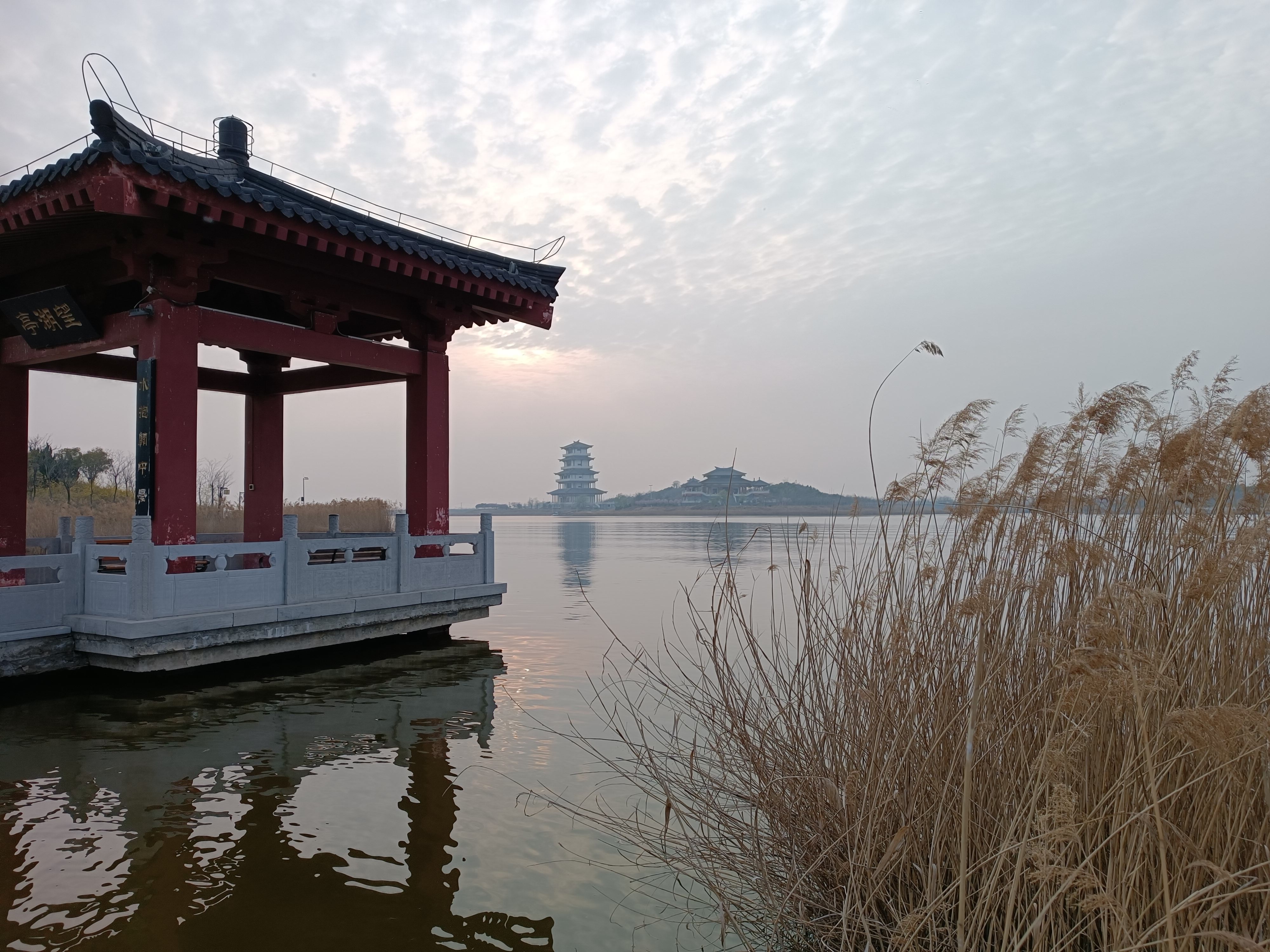 卤阳湖畔春风里图片