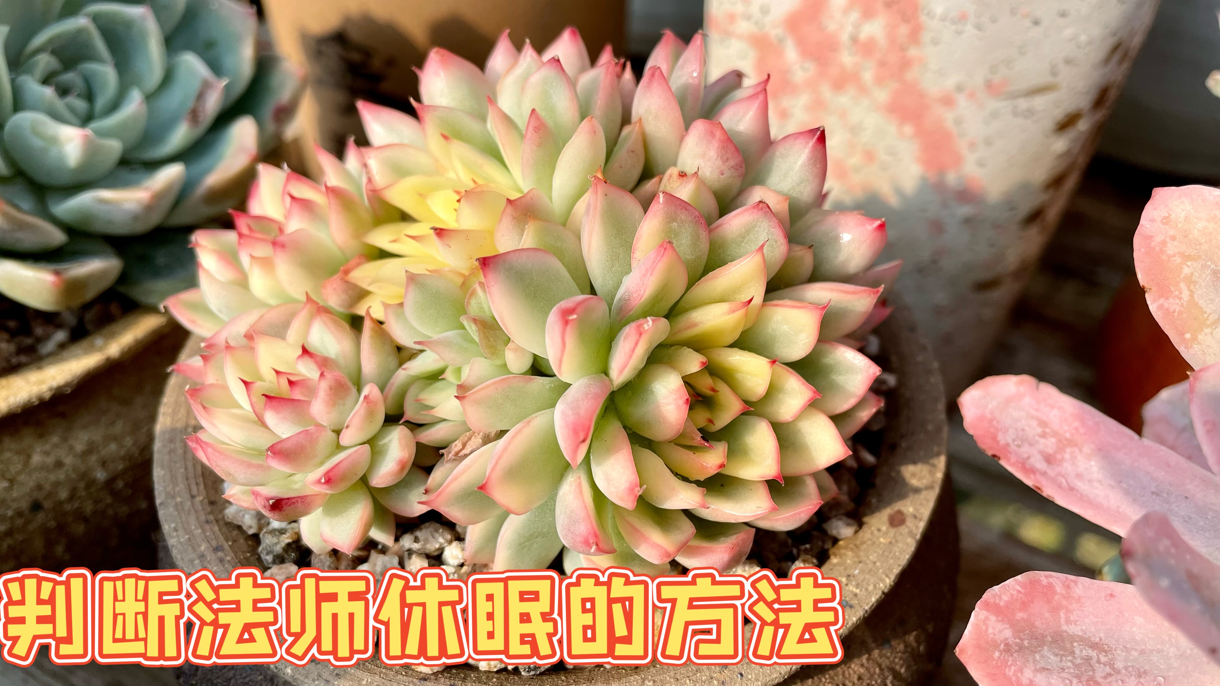 昨天忘了说如何判断法师是否休眠了，今天补上