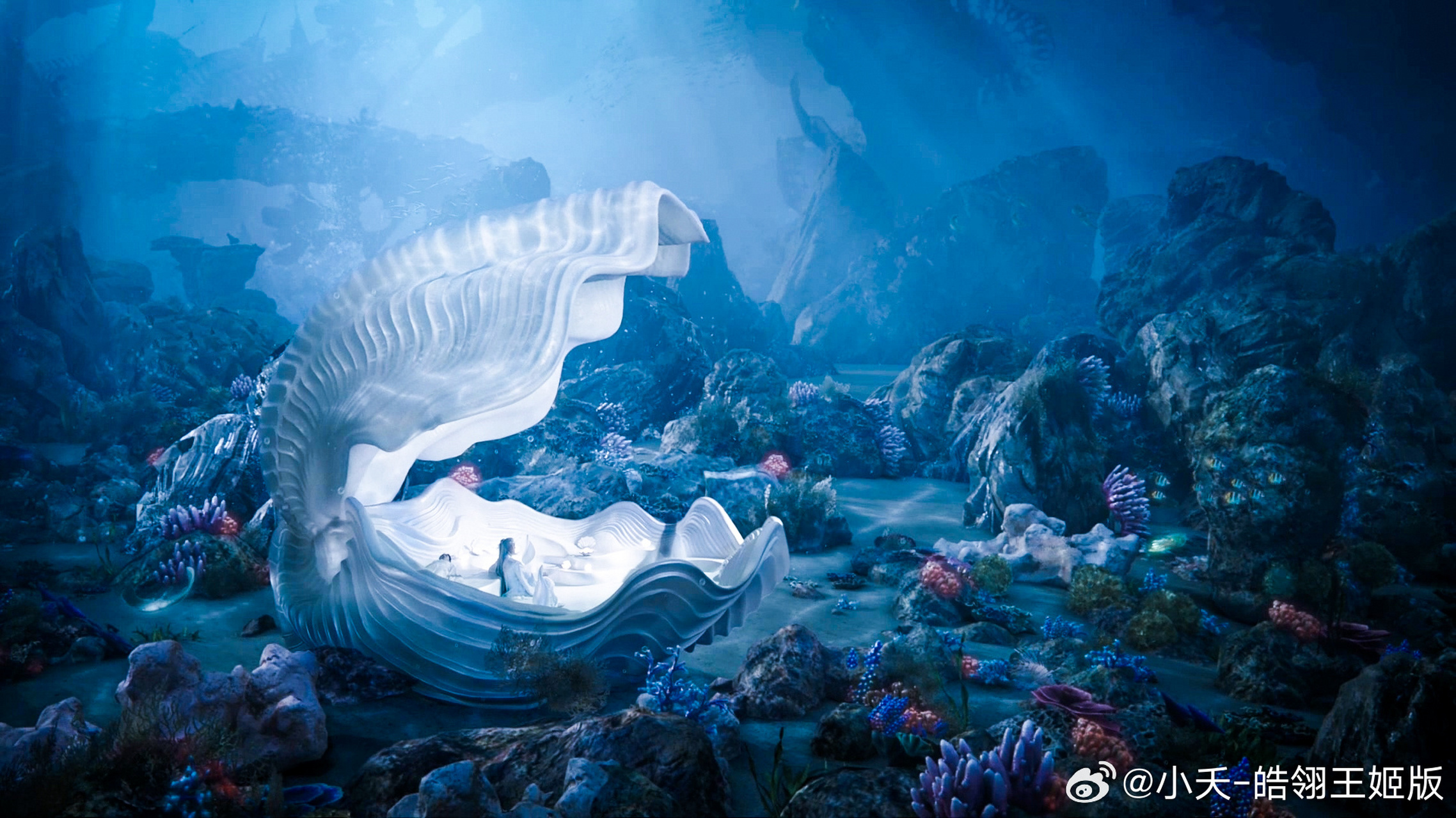 大家想我了吗,我很好,我在海底,风景很美,相柳还给我安排了一个豪华