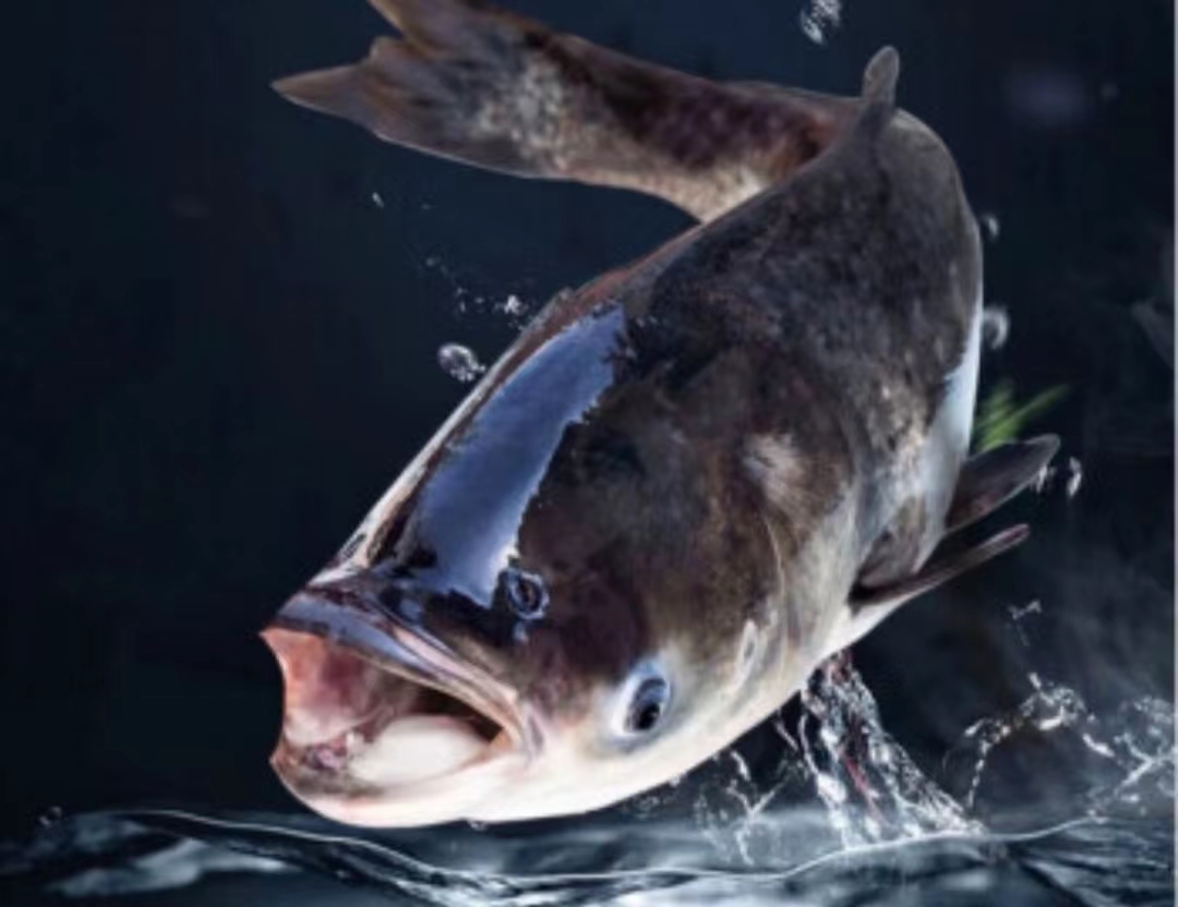 秋日,酱椒鱼头这么做,实在太好吃了,人间烟火味,高手在民间