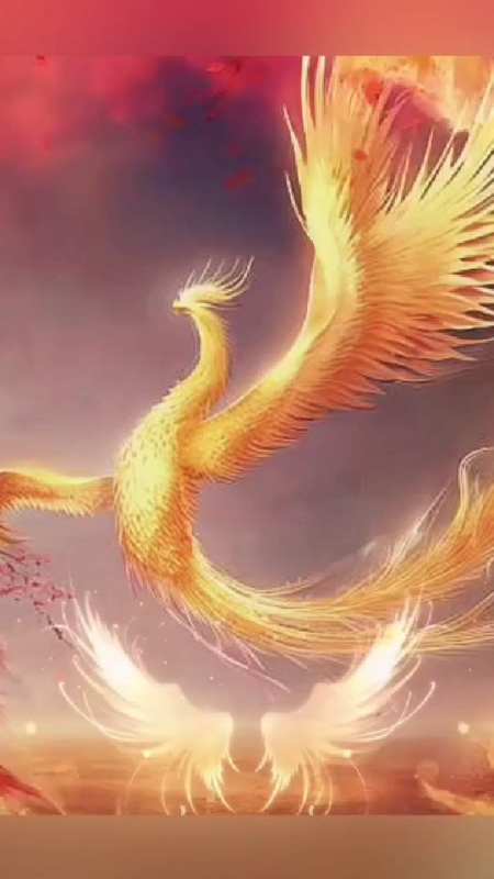 凤凰凌天,任其艰难,我必冲天,加油-度小视