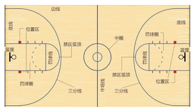 标准篮球场画线图图片