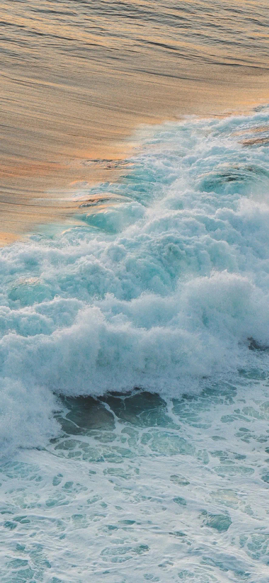 热门手机壁纸:11月10日墙纸