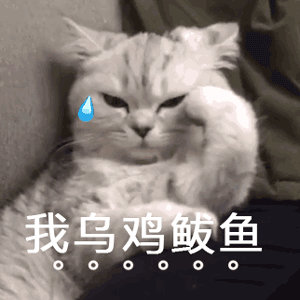 表情包|沙雕日常 啊?你满意了?