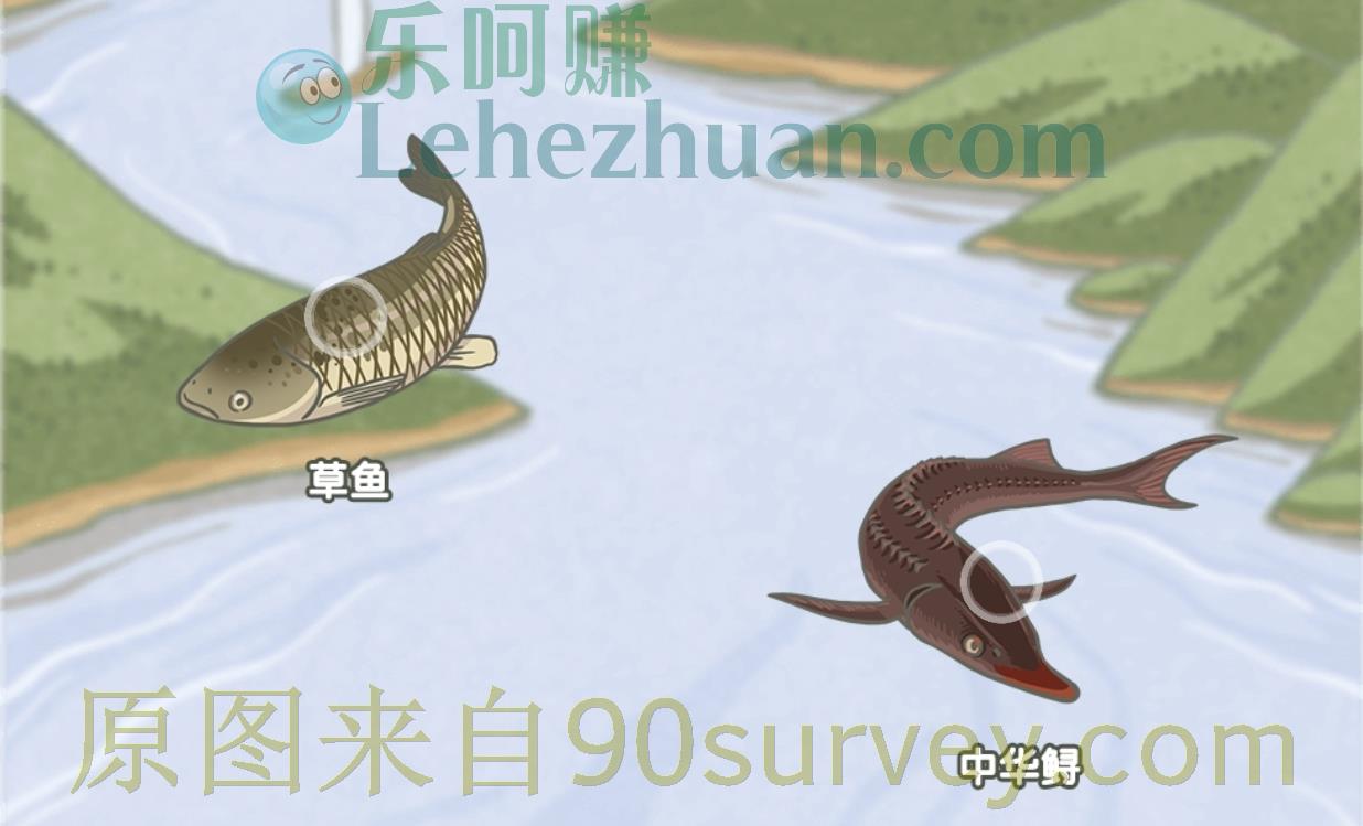 下列哪种鱼类不属于长江“四大家鱼”？答案：中华鲟