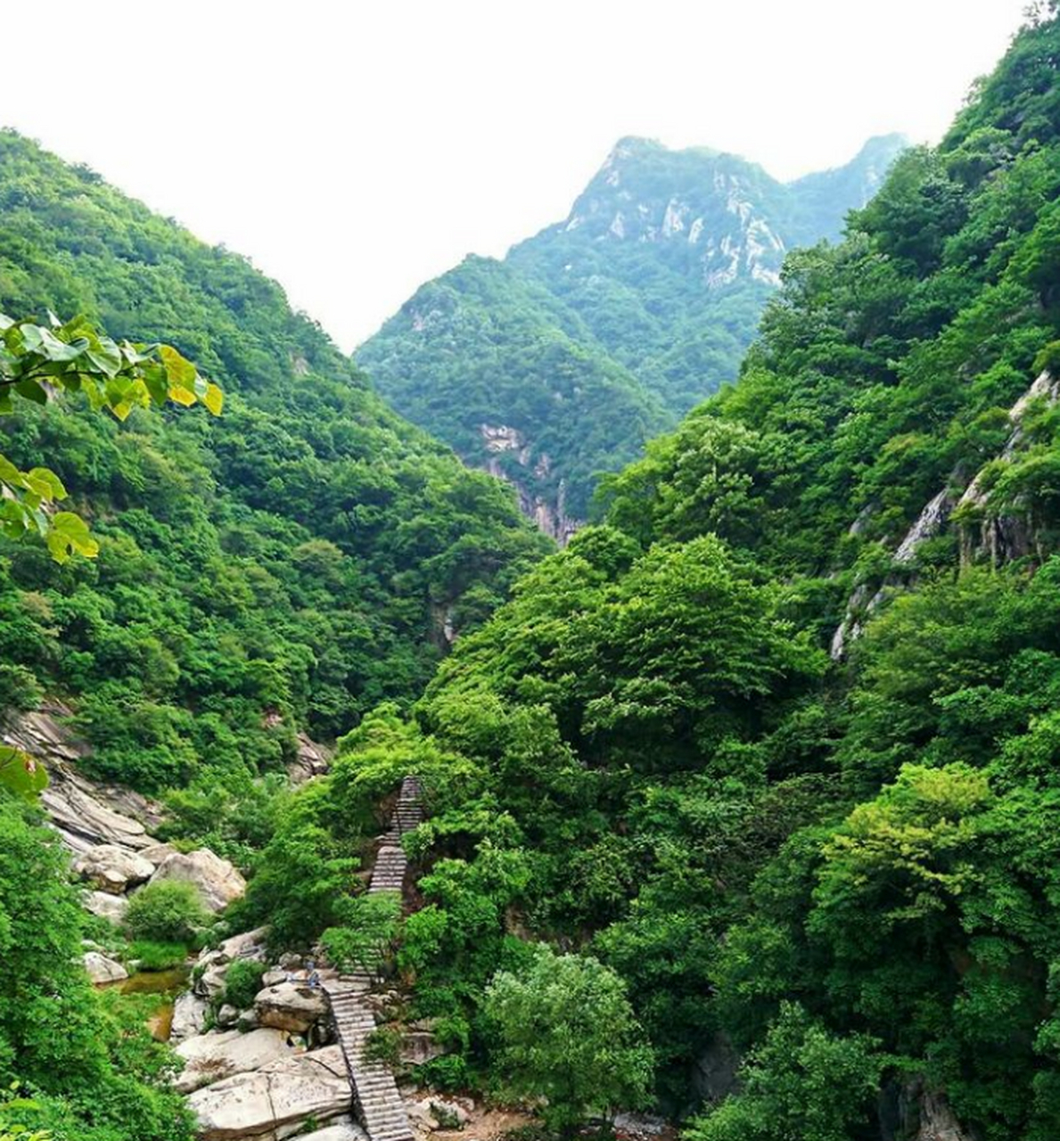 白鹰河位于伏牛山腹地,嵩县南部山区车村镇龙池墁北坡.