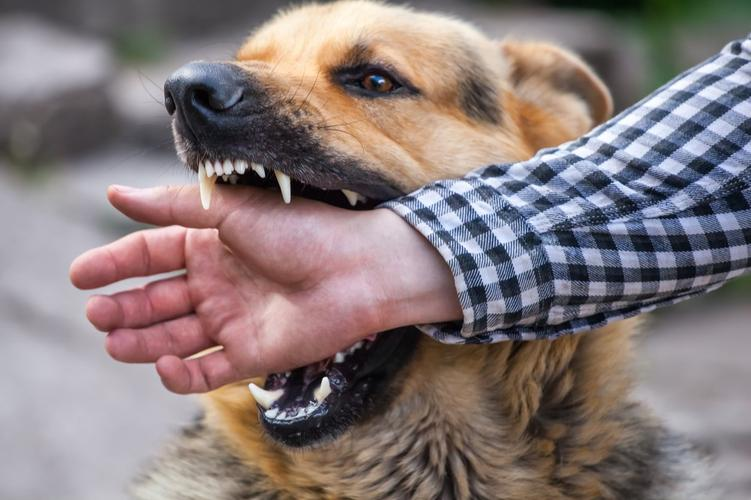 人得了狂犬病能有多恐怖?发作全过程真实画面,双手被绑十分狂躁