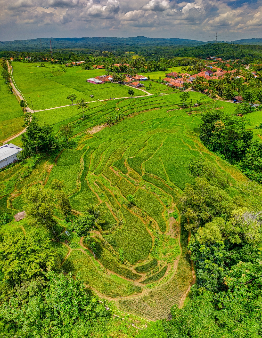 令人心旷神怡的12张草原图片,无水印高清草原背景壁纸素材