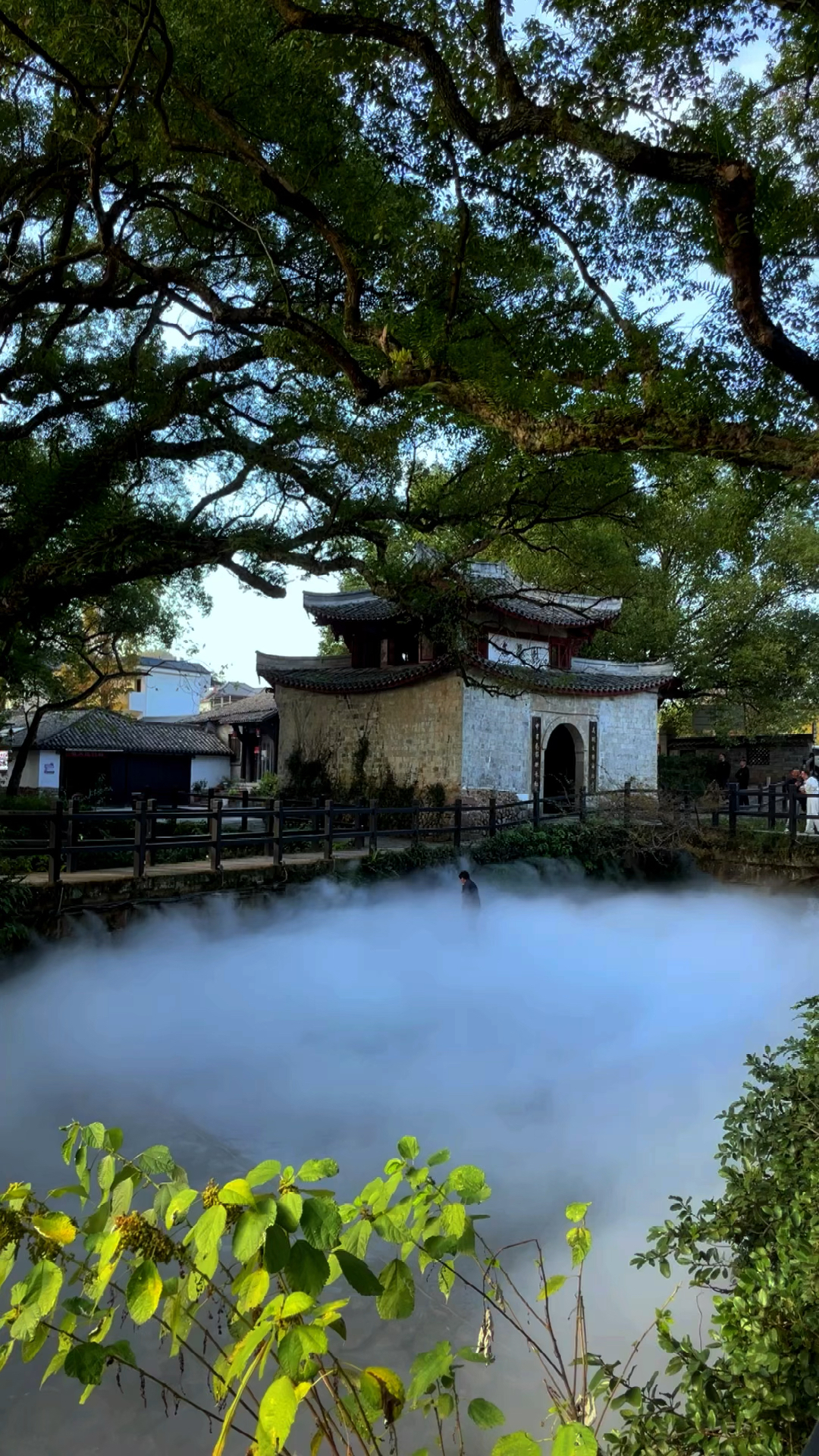 总有一种遇见,惊艳了时光,总有一处风景,渲染了欢喜,以清净心看世界以