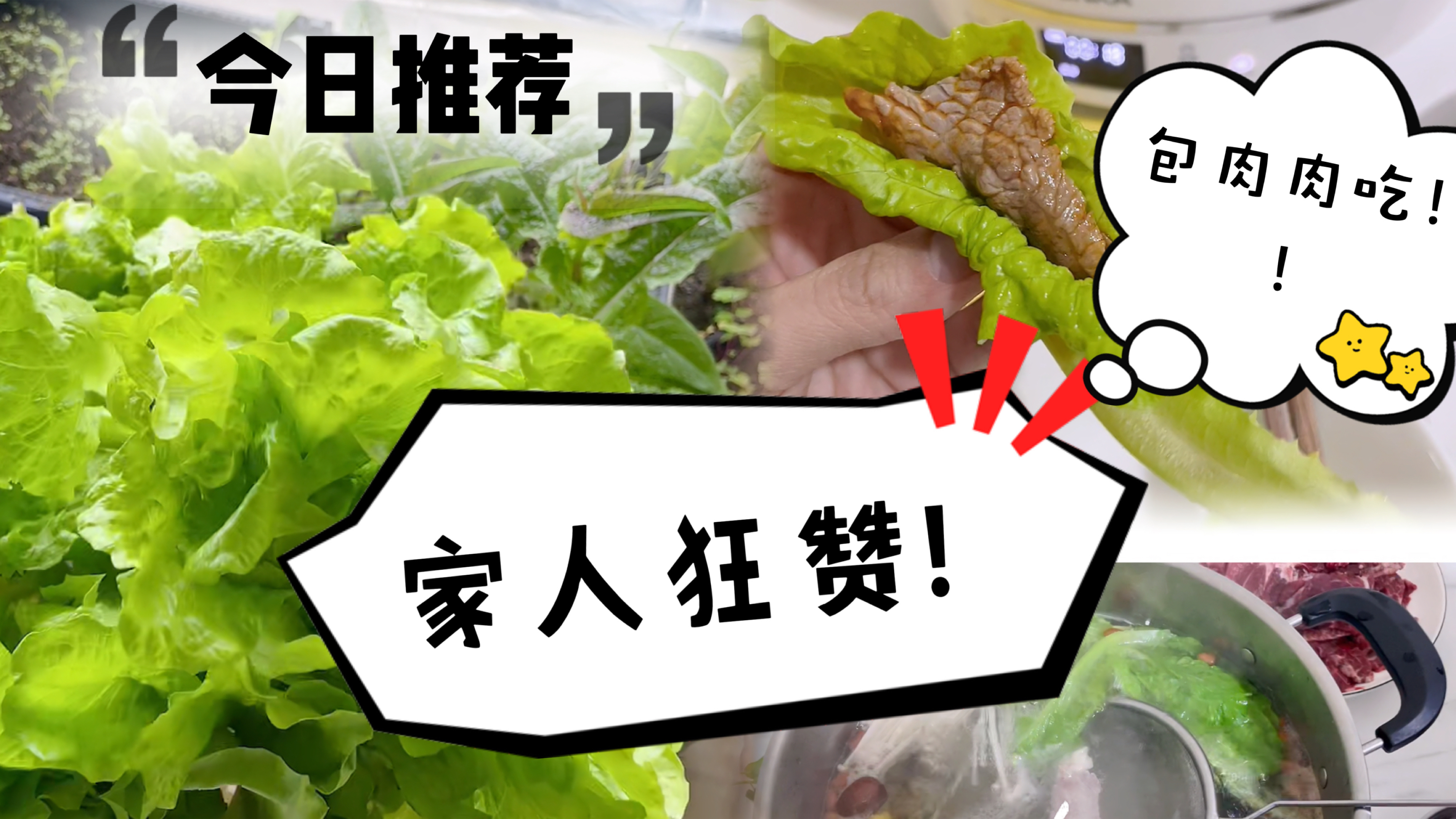 花10块钱买两斤牛肉,配上自己阳台种的有机生菜,一家人吃爽了!