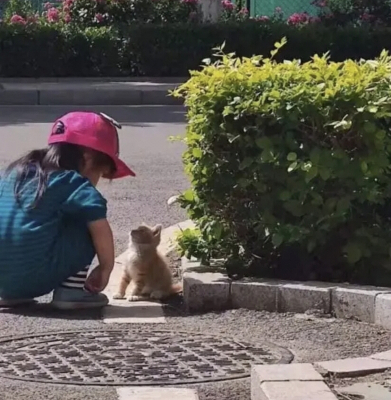 网友:人类幼崽和猫咪之间的深情对视,这一幕太有爱了