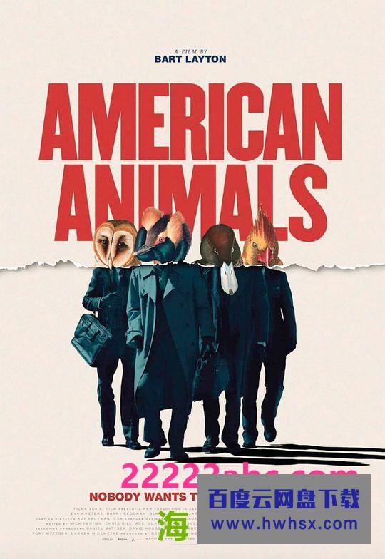 《美国动物》4k|1080p高清百度网盘