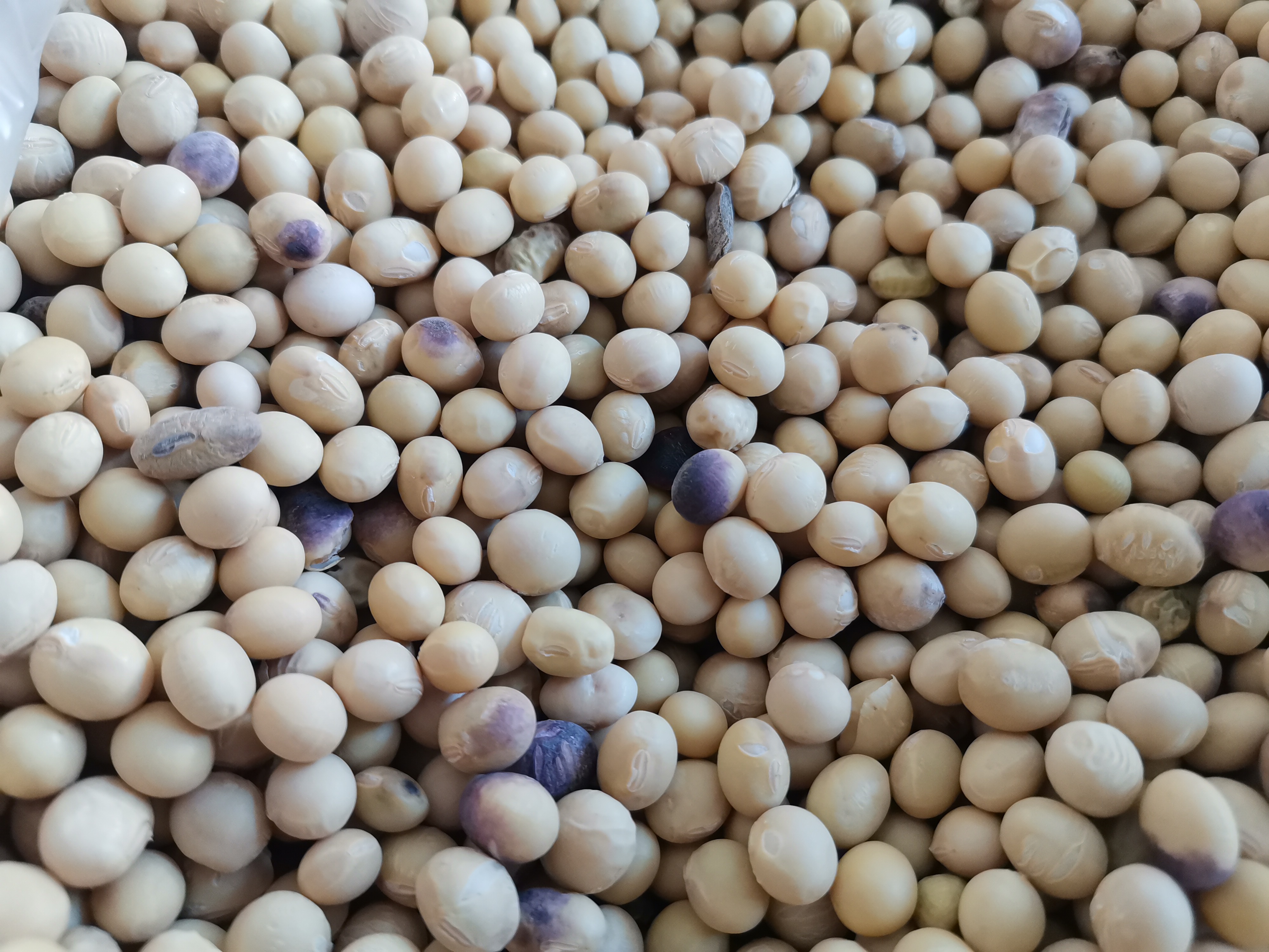 冬日下午,暖阳透过玻璃照进来,客厅亮堂堂的