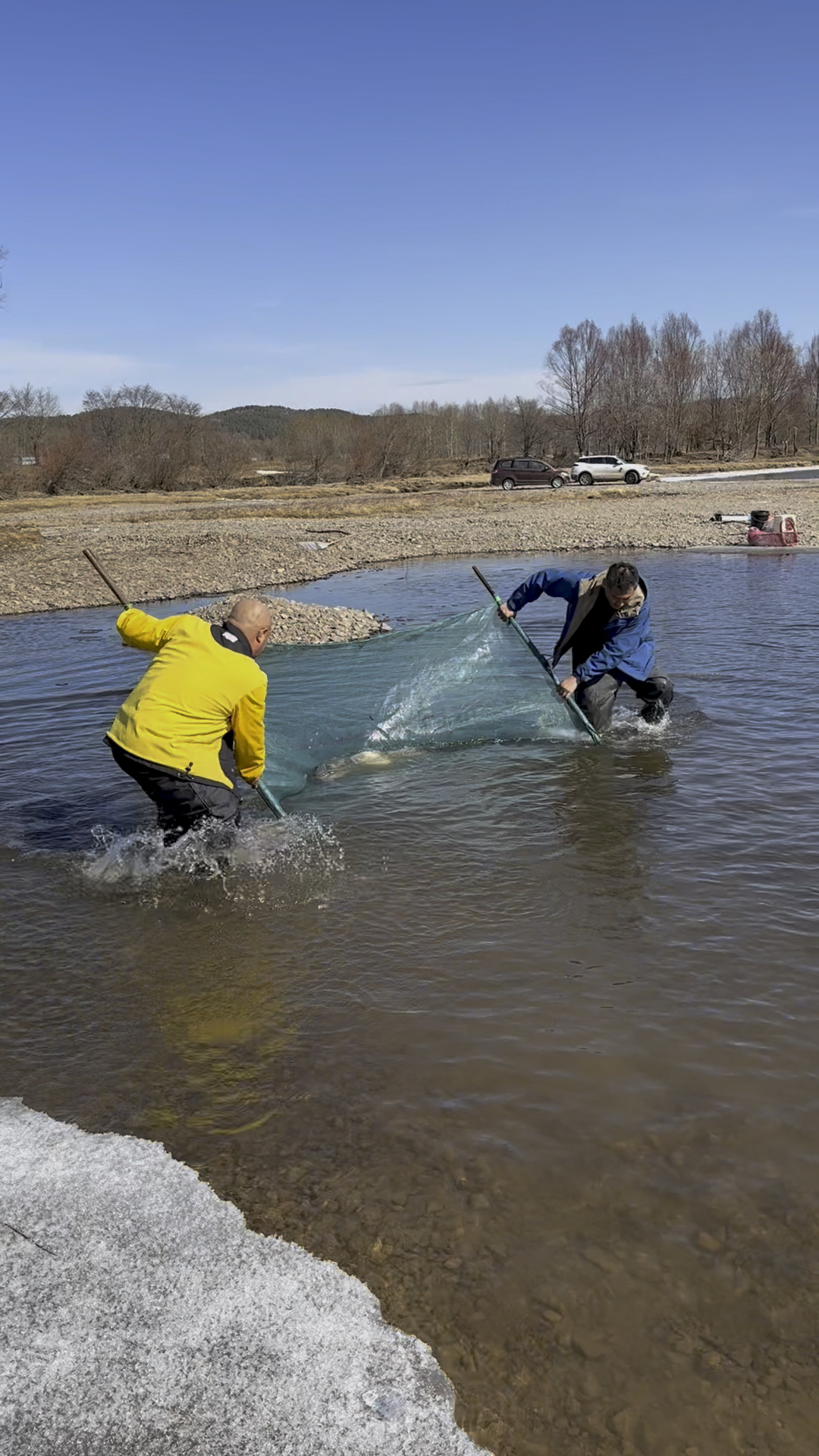 河里的鱼真多呀