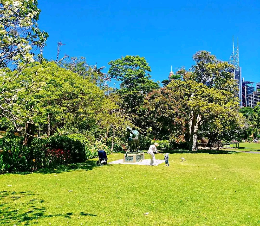 澳洲悉尼皇家植物园,闹市中的一片绿洲,是一个去了又想去的地方