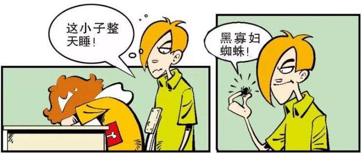 阿衰被蜘蛛咬变身蜘蛛侠?庄库:黑寡妇蜘蛛!