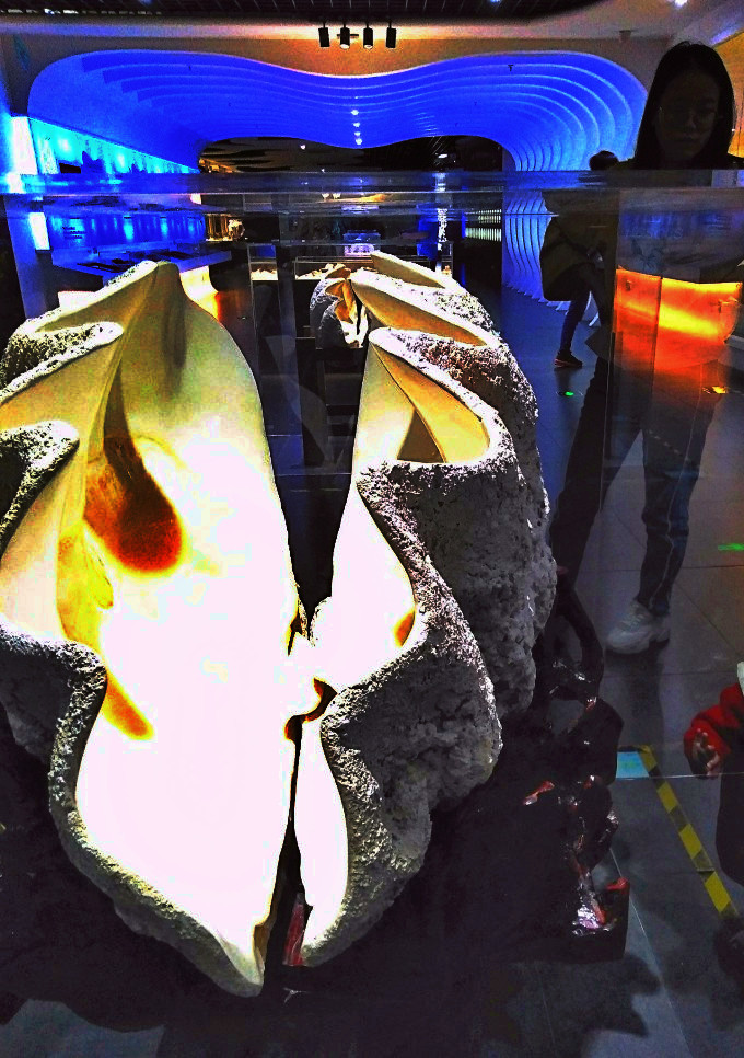 蛇口海洋博物馆