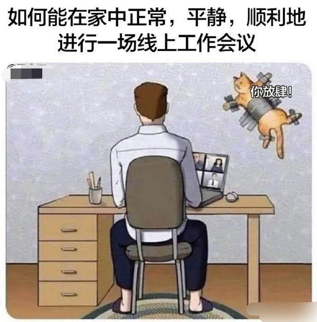 想开线上会议?先把你的猫贴墙上[捂脸][捂脸][捂脸]
