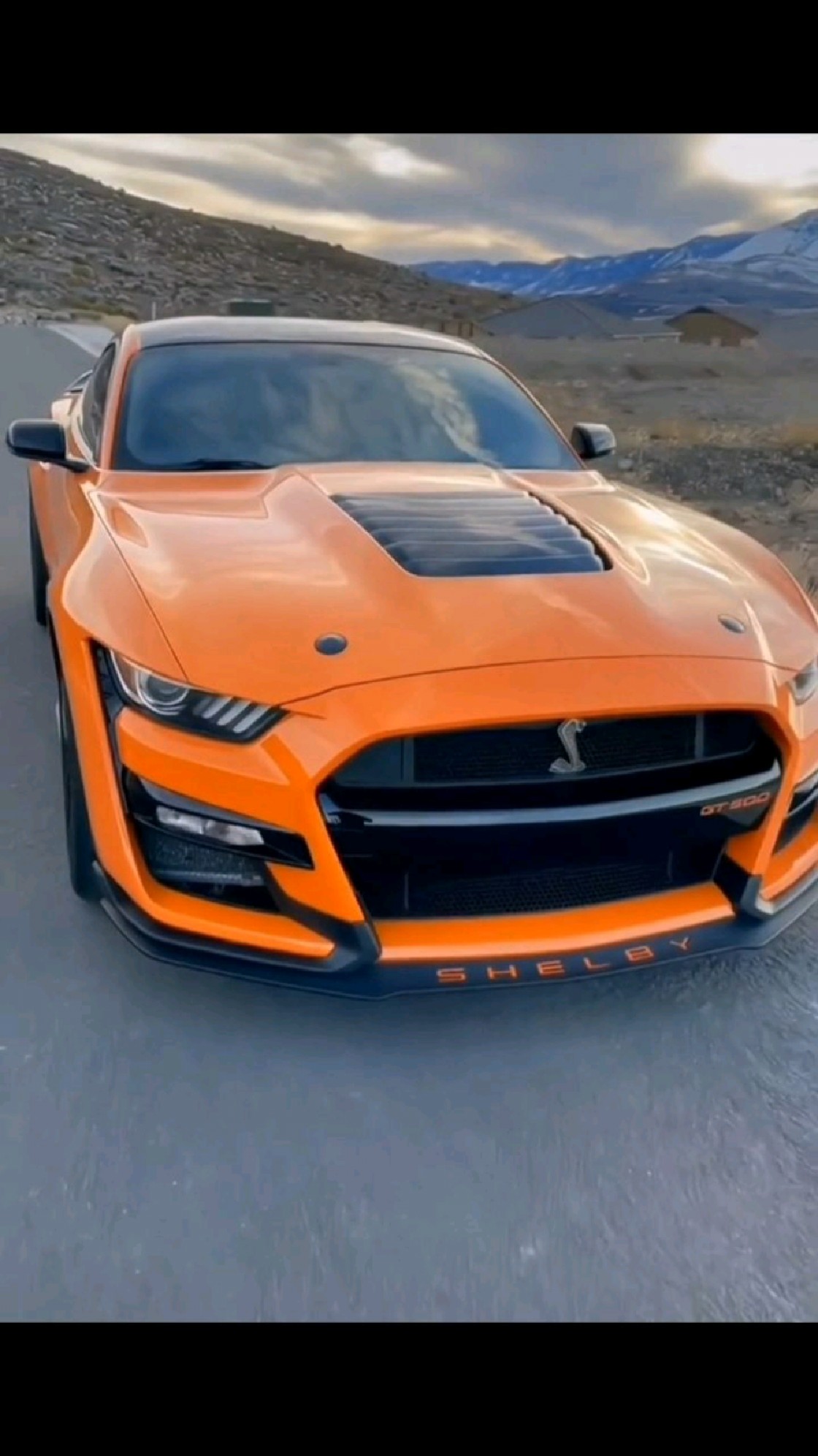 福特谢尔比,shelby.gt500,即福特眼镜蛇.