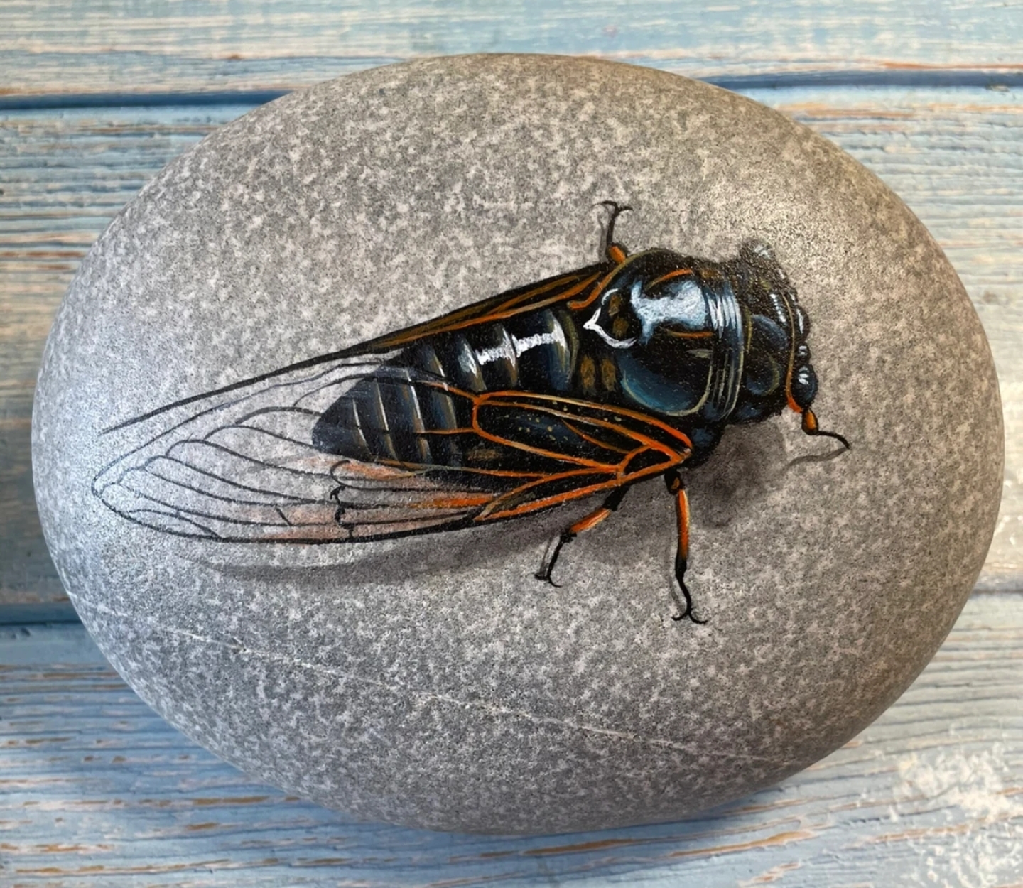 一鸣惊人的石头