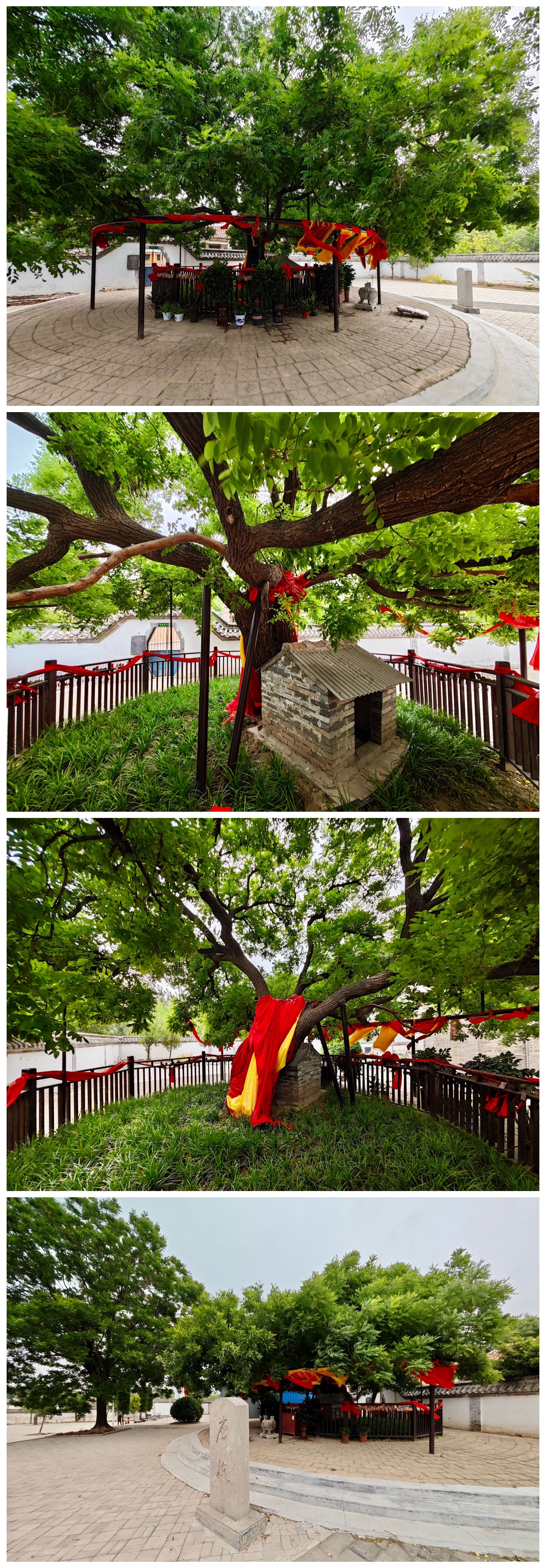 走遍中国寺院之第2419家,山东61聊城61兴国寺