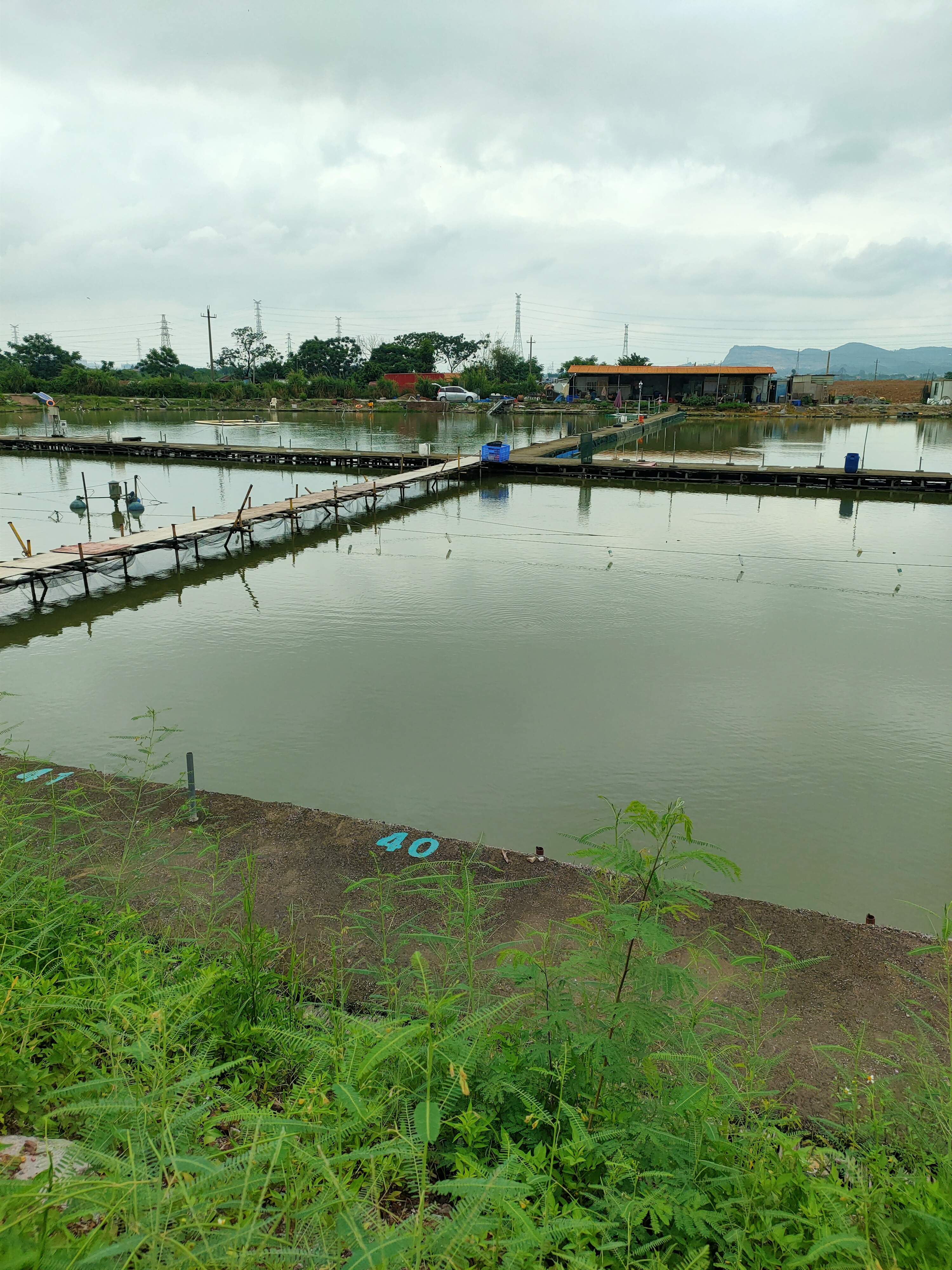 钓鱼场6小时80块钱,老板还能赚到钱吗?都没什么人去钓