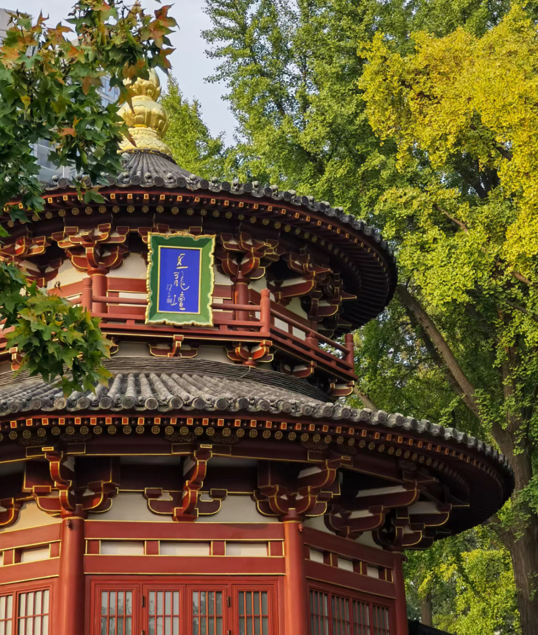 西安东郊的兴庆宫公园,这里可是唐朝遗留下来的皇家园林.