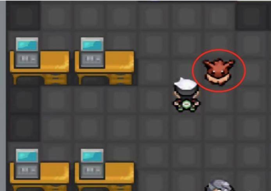 究极绿宝石5伊布驾驭怎么用