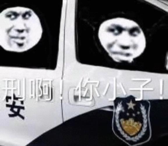 治愈系萌宠:玄凤鹦鹉