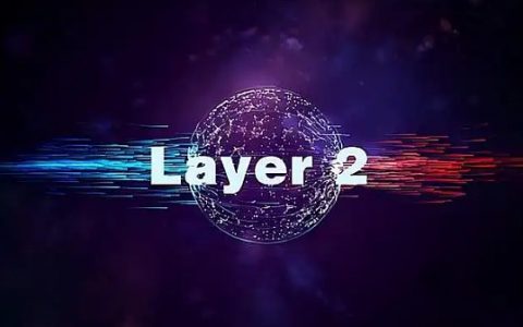 Layer 2 夏天已至 ？一文了解如何通过 7 种指标评估 L2 项目