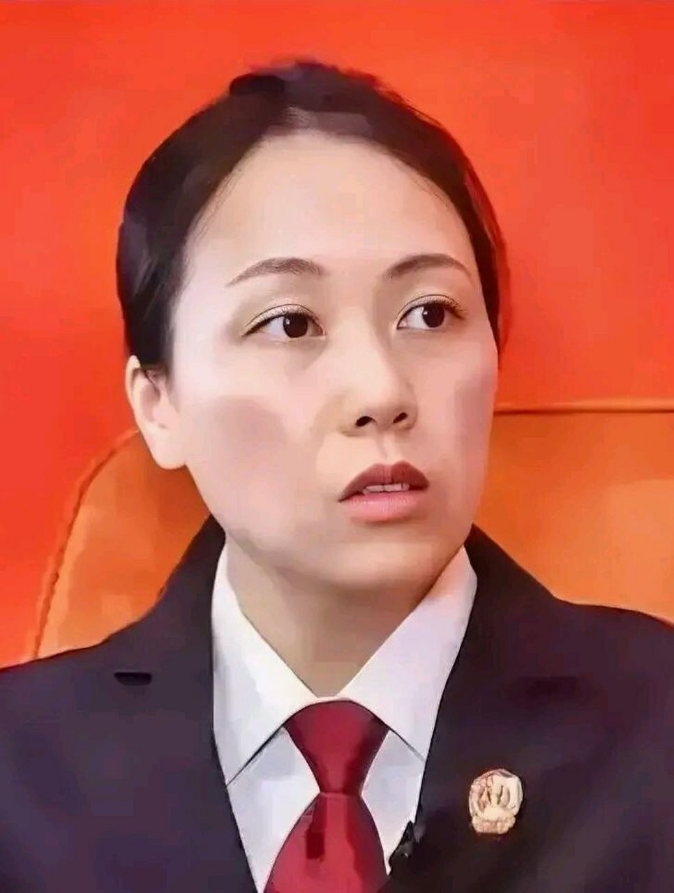 《通知,通知,重要通知》 请陈法官及审议人员认真阅读并做好以下相关